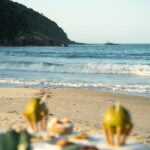 Awasi Santa Catarina (1)