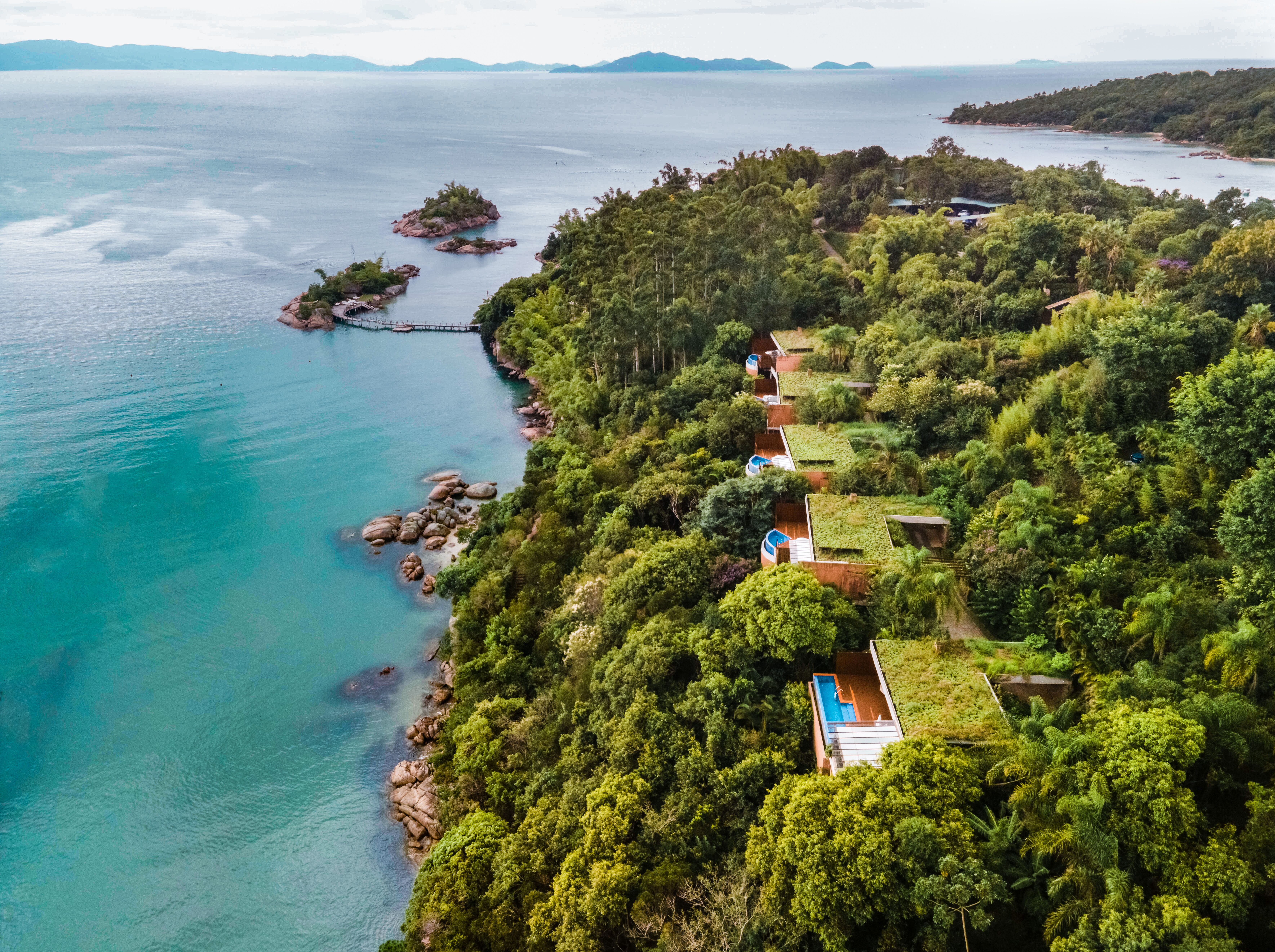 AI SEARCH-Awasi Santa Catarina