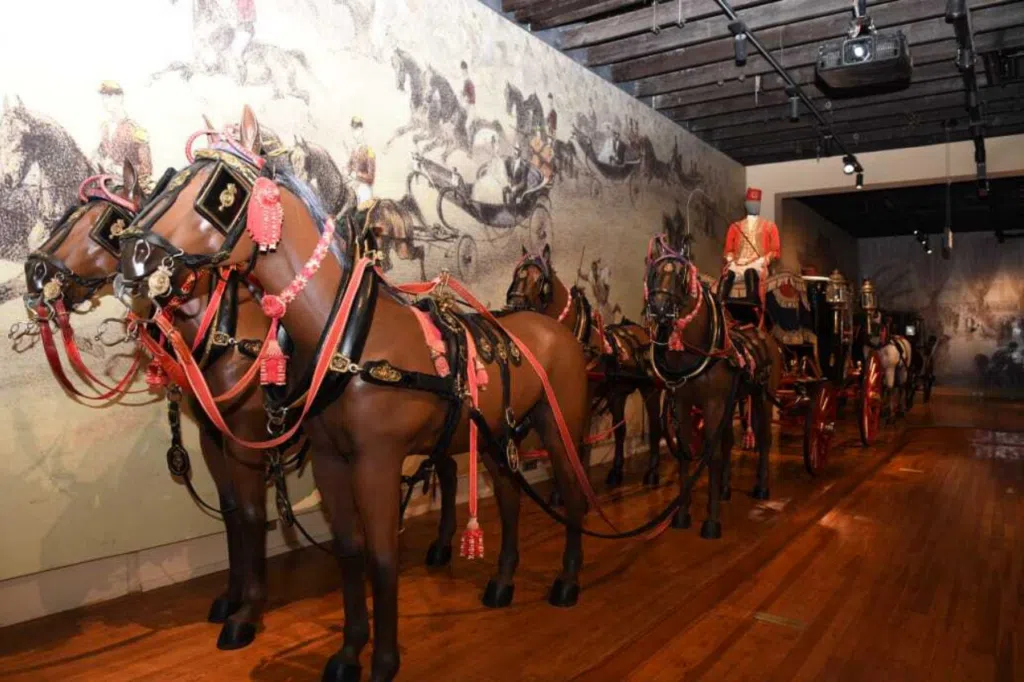 Canal de Suez - Emeco Travel7