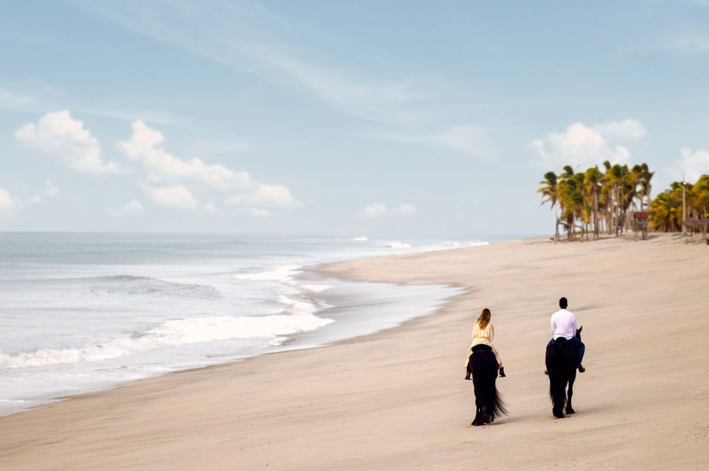 Dunas Beach Club - Buenavista Resort6